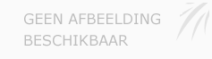 Afbeelding › The Real Estate Company
