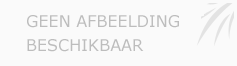 Afbeelding › Stuivenberg Makelaardij